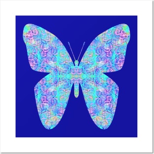 Aqua Butterfly Posters and Art